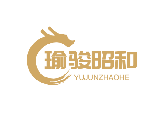 金色酷炫龙公司店铺门头图标标志logo设计