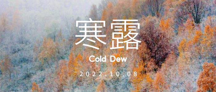 简约实景 24节气 寒露 微信公众号封面设计