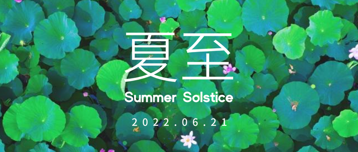 简约实景 24节气 夏至 微信公众号封面设计