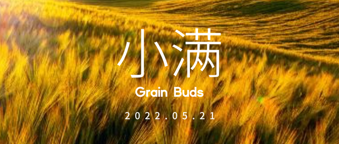 简约实景 24节气 小满 微信公众号封面设计