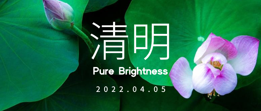 简约实景 24节气 清明 微信公众号封面设计