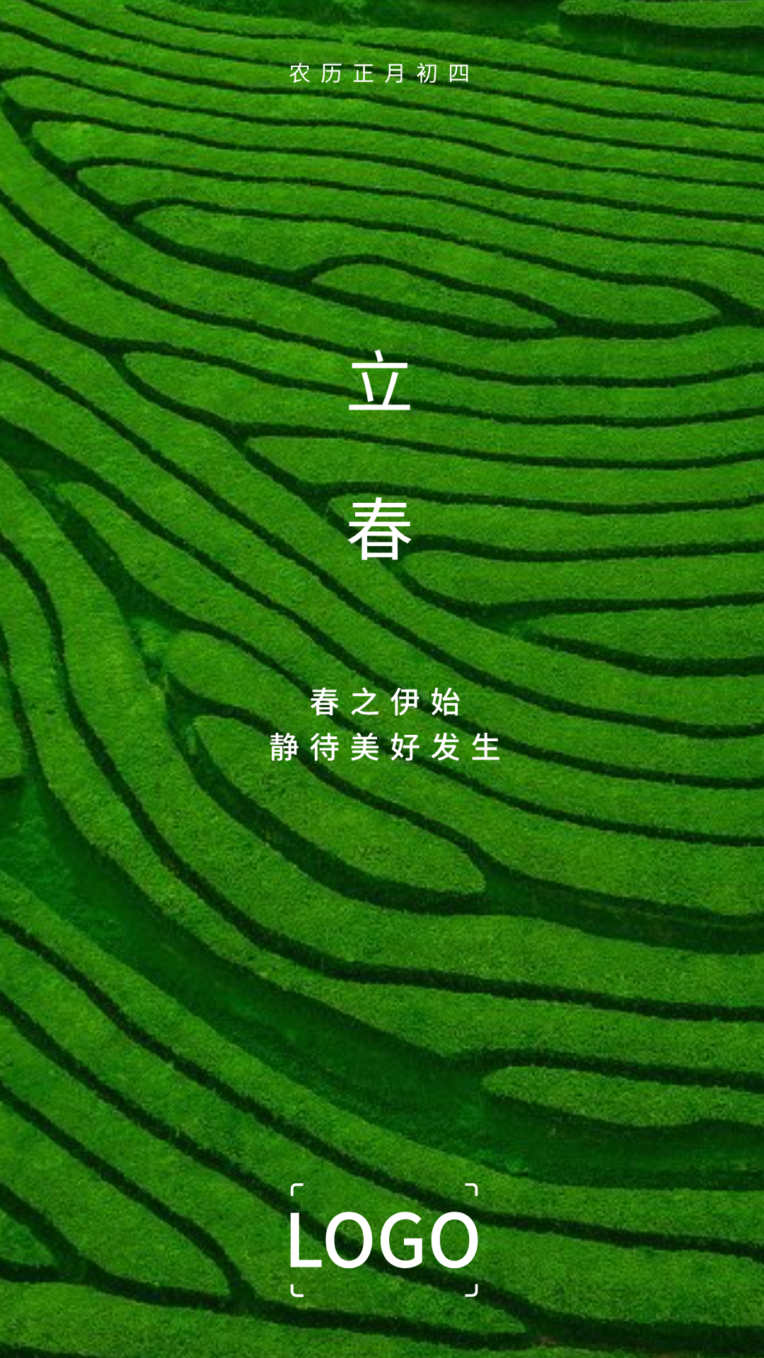 绿色简约实景立春 手机海报 设计