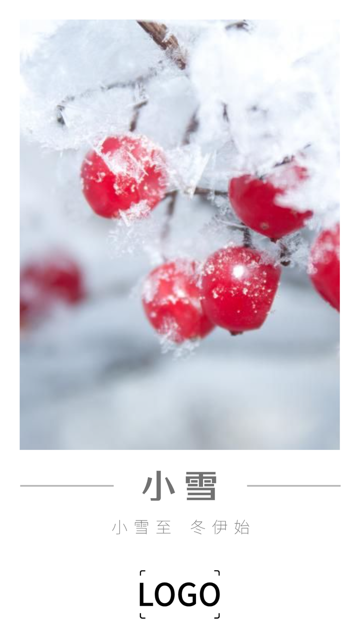 简约24节气小雪手机海报设计