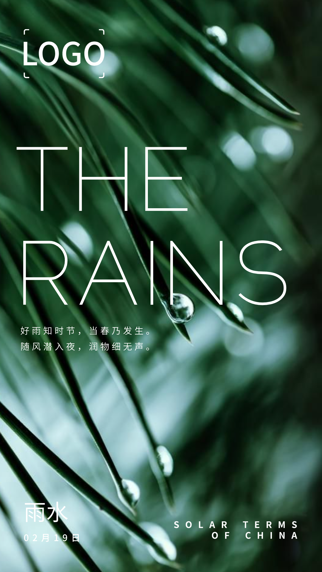 文艺实景雨水二十四节气手机海报设计