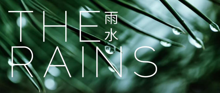 文艺实景雨水二十四节气公众号封面设计