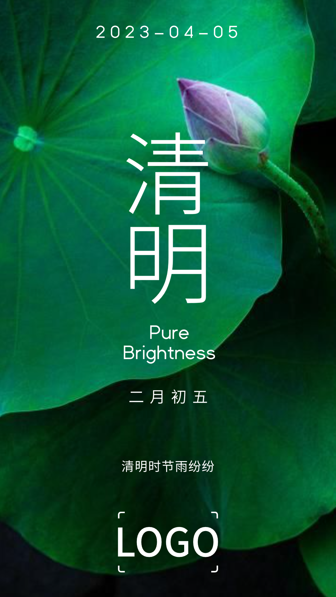 实景 24节气 清明 海报设计